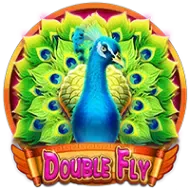 Double FlyCQ9 icon